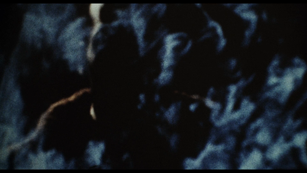 <p>Since 2021<br />
Freeze; Zoom, Enhance.</p>
